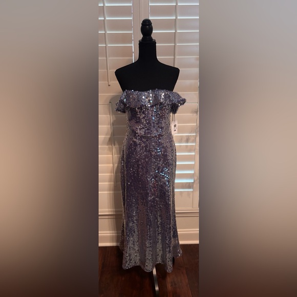 AMUR Braelynn Mesh Sequin Midi Dress in Neptune
Size 10 NEW - Picture 4 of 6